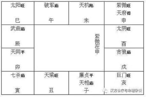 王员外紫薇斗数