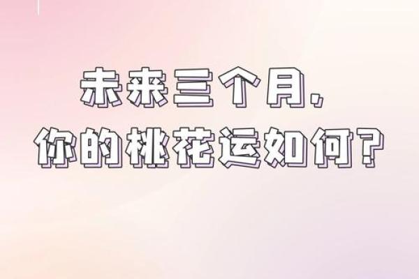 塔罗测试：未来三个月走什么运？