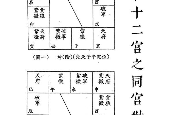 紫微斗数紫薇独坐