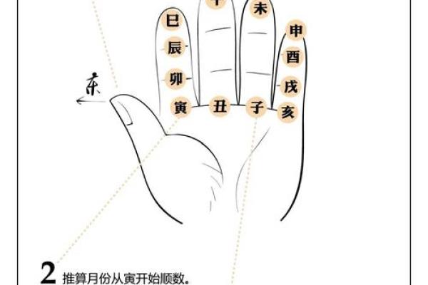 怎么学八字算命