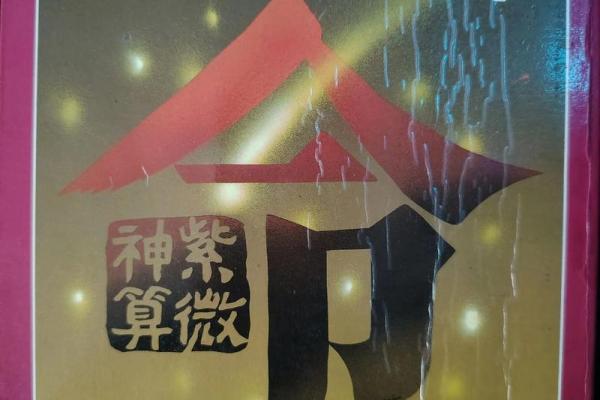 高级紫薇斗数书 高级紫薇斗数书