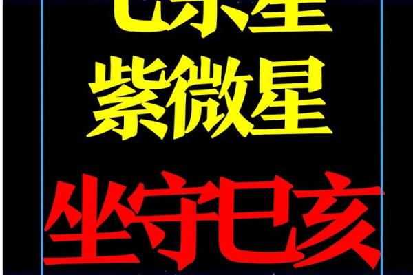 紫微斗数之财帛宫在亥宫 ,是什么意思? 紫微斗数之财帛宫在亥宫 ,是什么意思?
