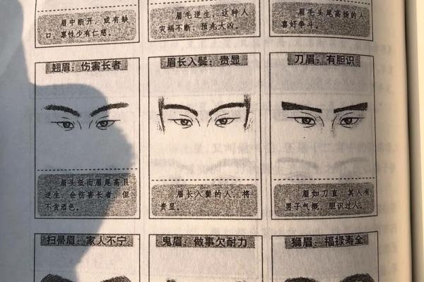 面相：眉形与命运，眉有断痕为什么不好？眉顺为好相，眉毛散乱多忧愁，八字眉个性随和