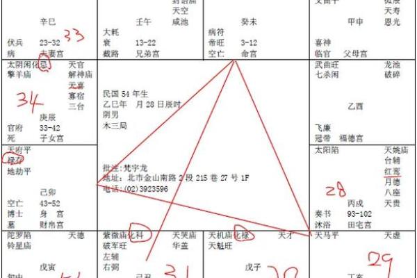 紫薇斗数真传 紫薇斗数真传