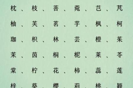 2025牛年中元节出生的女孩八字缺木名字 积极向上名字推荐