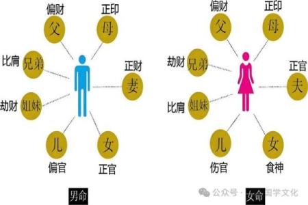 伤官合杀美女八字