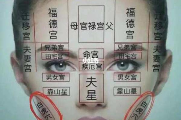 面相算命看法的特征,面相的基本看法 面相算命看法的特征,面相的基本看法