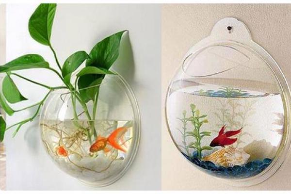 健康风水_地下污水池对居家健康的影响