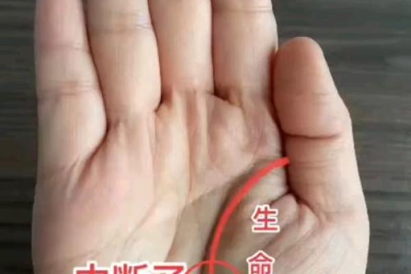 风水生命线短的人寿命短吗有什么说法