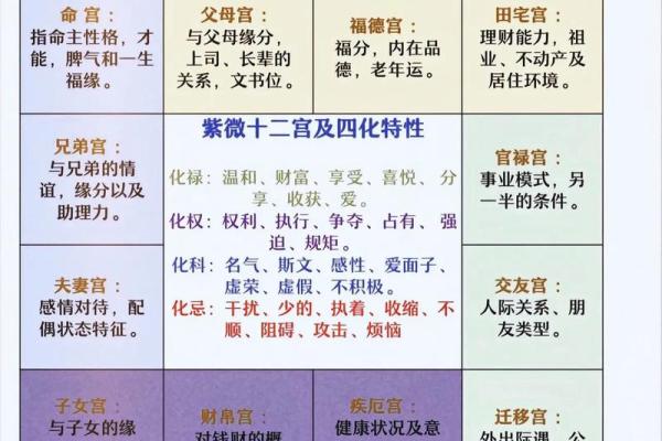 紫薇斗数全书简体 紫薇斗数全书简体