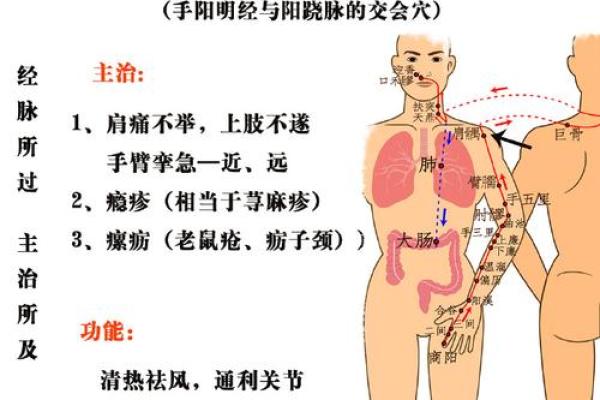肩膀算命大全 肩膀算命大全