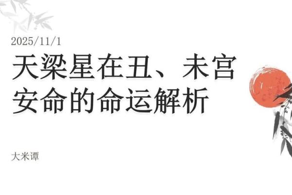 紫薇斗数天贵人 紫薇斗数天贵人