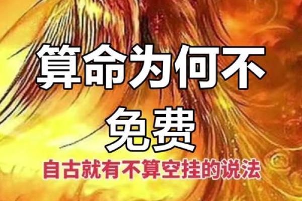 算命术视频完整版免费观看 算命术视频完整版免费观看