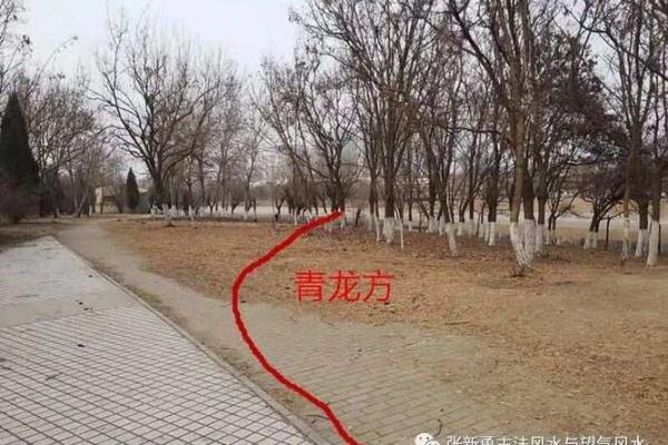 平原风水_你能晒一晒给大家分享吗 平原风水_你能晒一晒给大家分享吗