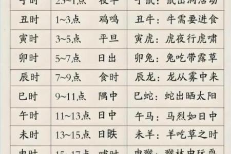 八字信息解析教程，让你轻松掌握八字学问