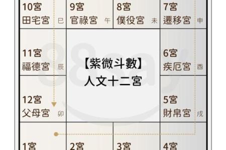 庄式紫薇斗数排盘