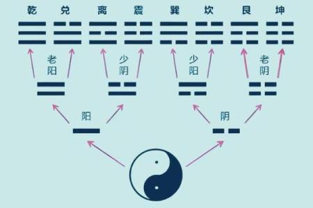 扒一扒：你该选择八字算命还是八卦预测？二者有何区别？