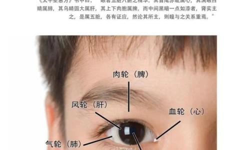 眼睛上的胎记算命分析