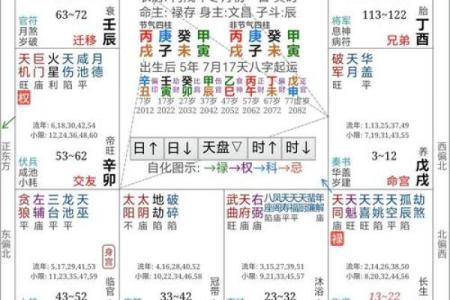 紫微斗数之夫妻宫与诸星，破军星在夫妻宫是什么意思？