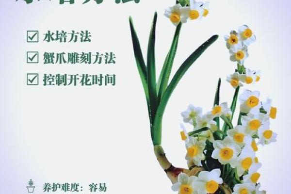 八字水旺农业：优质水草培育技巧分享