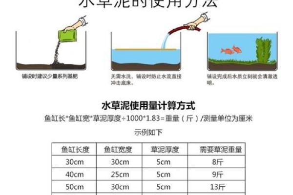 八字水旺农业：优质水草培育技巧分享