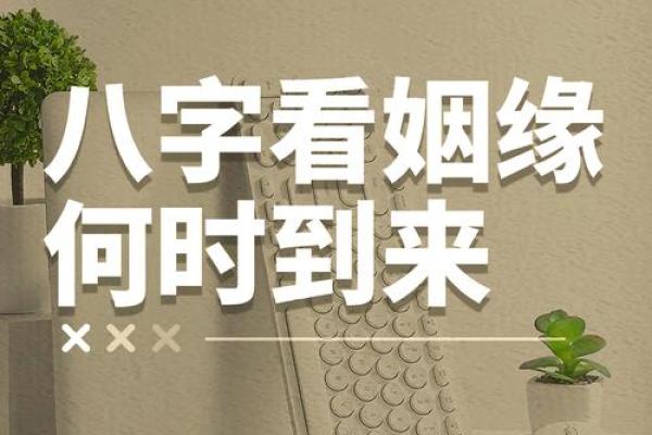 免费八字算婚姻 免费八字算婚姻