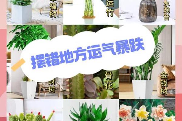 阳台风水摆件转运的技巧