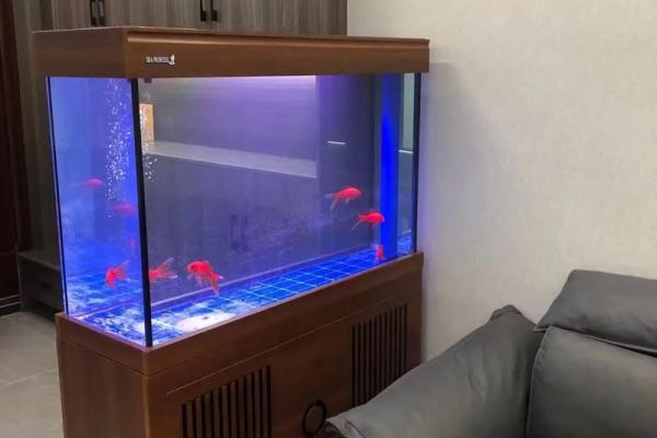 客厅放鱼缸的最佳位置风水摆放哪里