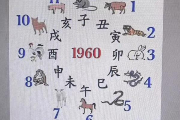 紫薇与斗数 紫薇与斗数