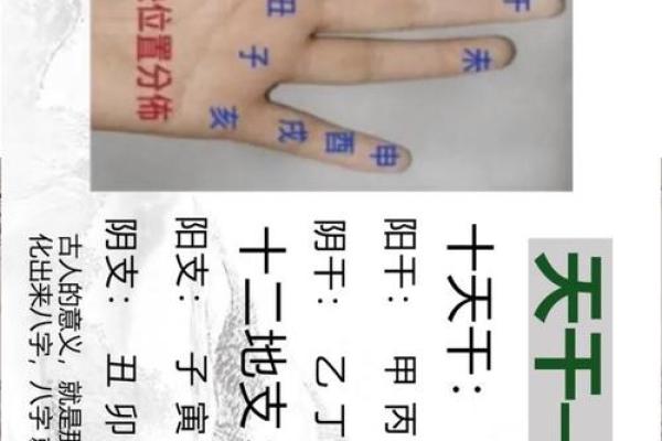 莫亚四柱八字教学视频