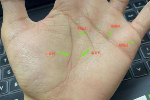 风水生命线分叉代表什么好不好 风水生命线分叉代表什么好不好