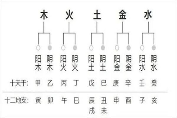 四柱八字与遗传基因的关系 四柱八字与遗传基因的关系