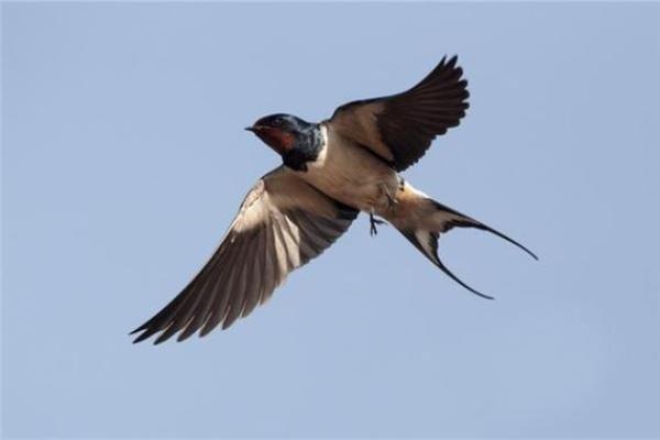 判断怎么样是身上有仙骨的预兆风水