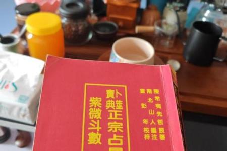 紫薇斗数入门更好的书