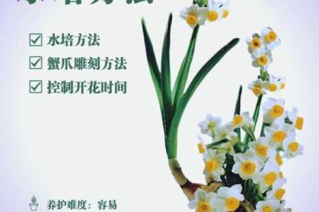 八字水旺农业：优质水草培育技巧分享