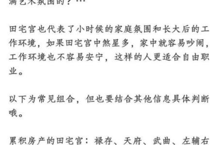 紫薇斗数精成在线阅读