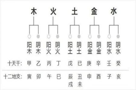 四柱八字与遗传基因的关系