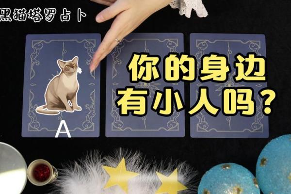 塔罗测试：职场小人捅刀，你该怎么办？