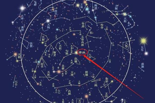 紫薇斗数水宫 紫薇斗数水宫