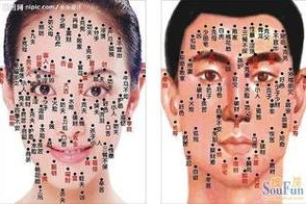 背上的痣图解算命
