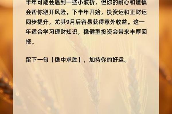 超准测试 2024年你的总体运势