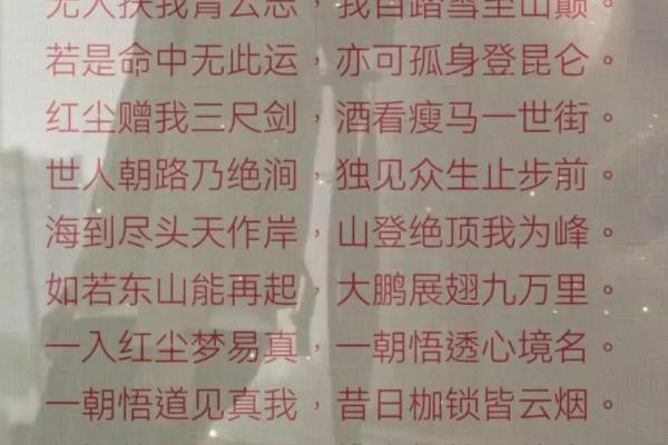算命说我是孤星无人敢娶 算命说我是孤星无人敢娶