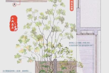 别墅到底建不建围墙好？别墅花园风水注意事项