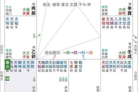 紫微斗数看美女 紫微斗数看美女格局？