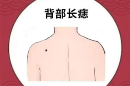 背上的痣图解算命