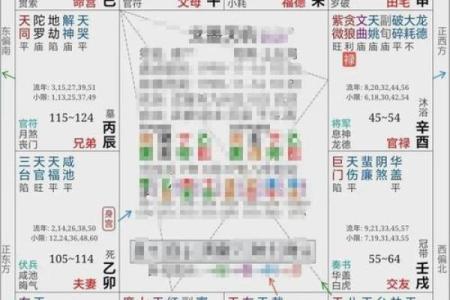 紫薇斗数配偶身材