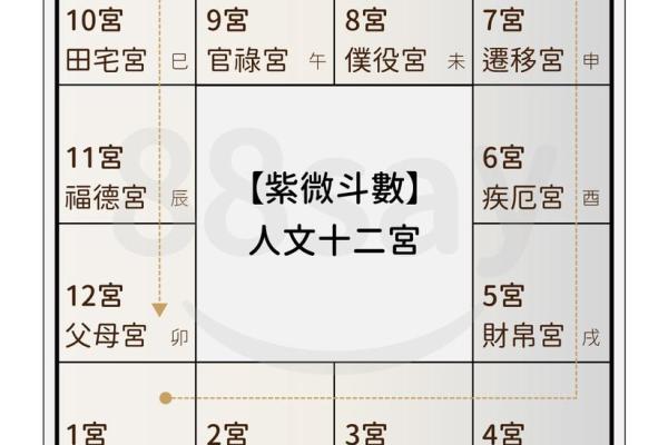 童子命排盘测算