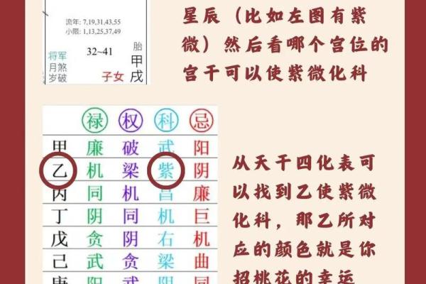 紫薇斗数流年2004