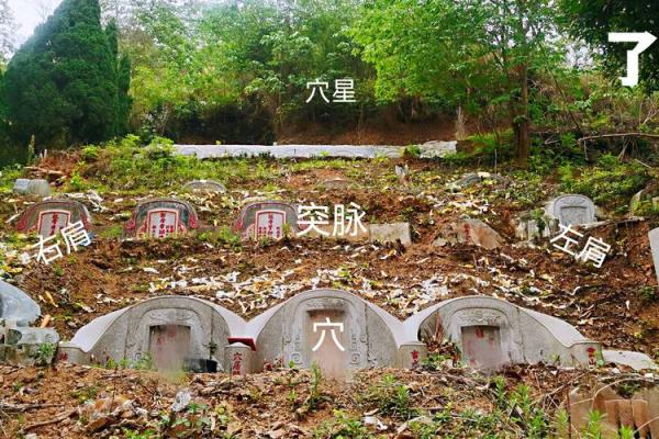 好风水坟地有什么特征 好风水坟地有什么特征