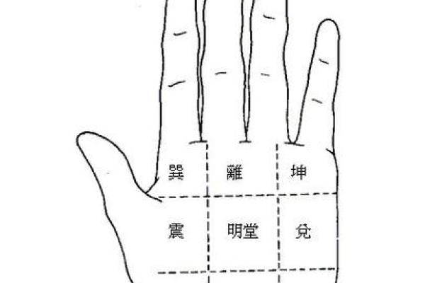 手相算命 八宫预言你生老病死 手相算命 八宫预言你生老病死